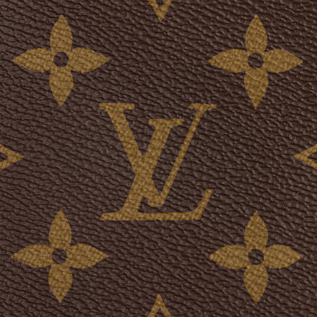 Lv bag - Image 3